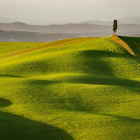 Bargello House By Francigenaapartments