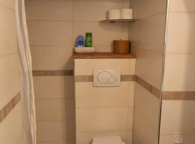 Bargello House By Francigenaapartments Apartamento Siena